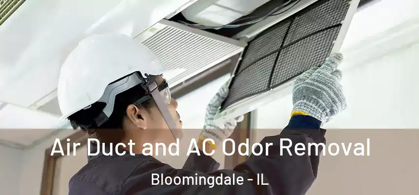 Air Duct and AC Odor Removal Bloomingdale - IL