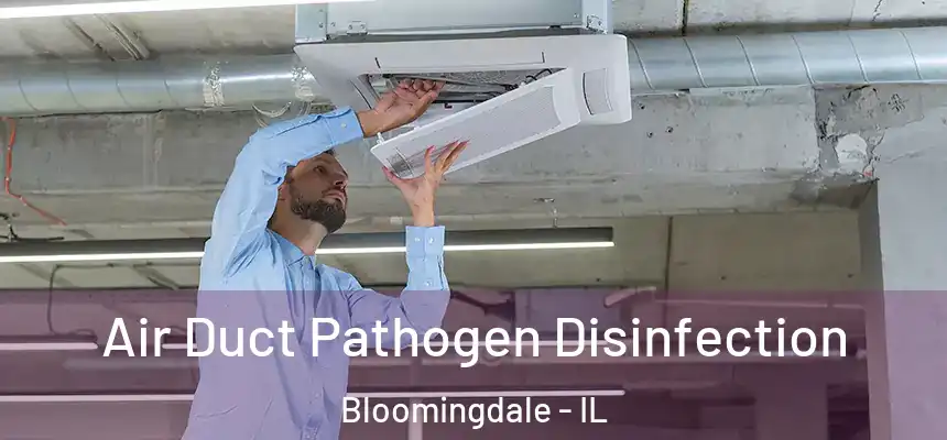 Air Duct Pathogen Disinfection Bloomingdale - IL