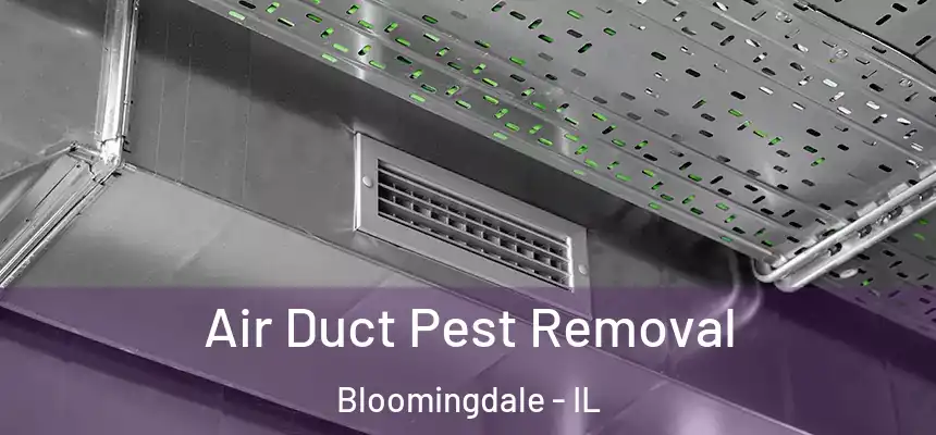  Air Duct Pest Removal Bloomingdale - IL