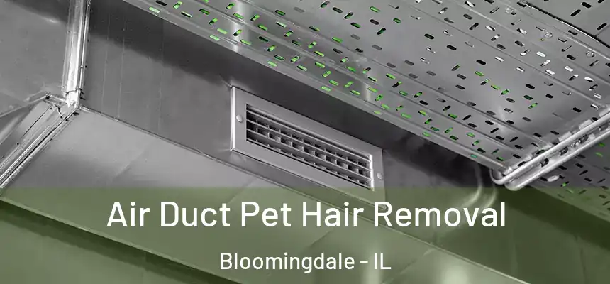 Air Duct Pet Hair Removal Bloomingdale - IL