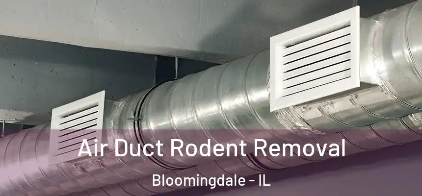 Air Duct Rodent Removal Bloomingdale - IL
