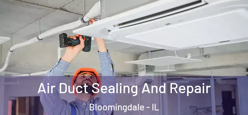 Air Duct Sealing And Repair Bloomingdale - IL