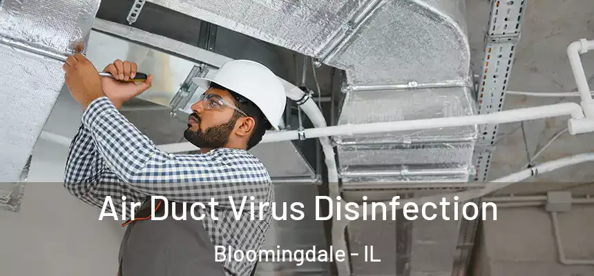 Air Duct Virus Disinfection Bloomingdale - IL