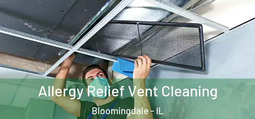  Allergy Relief Vent Cleaning Bloomingdale - IL