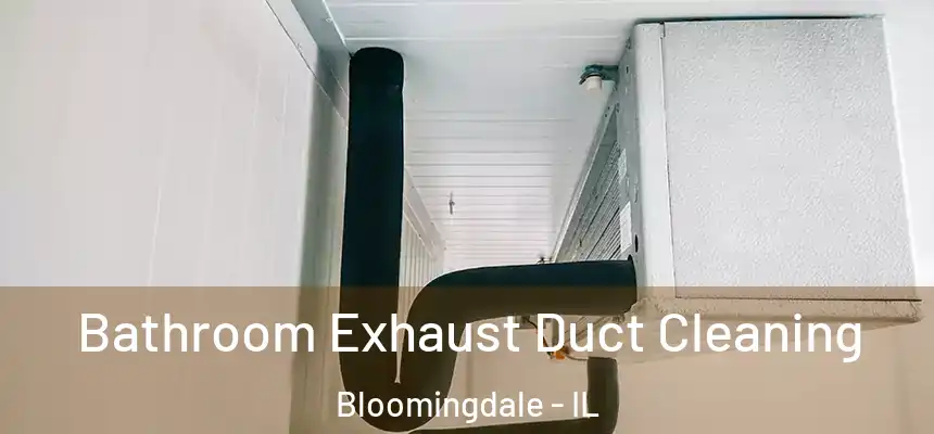 Bathroom Exhaust Duct Cleaning Bloomingdale - IL