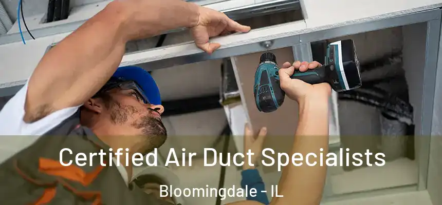 Certified Air Duct Specialists Bloomingdale - IL