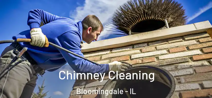 Chimney Cleaning Bloomingdale - IL