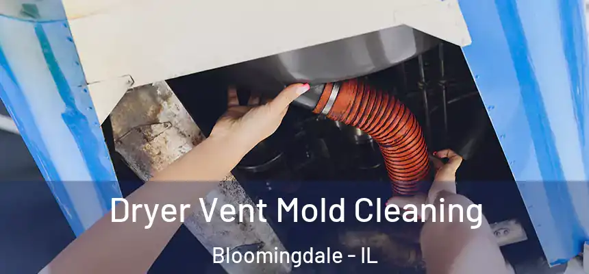 Dryer Vent Mold Cleaning Bloomingdale - IL