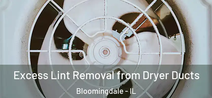 Excess Lint Removal from Dryer Ducts Bloomingdale - IL