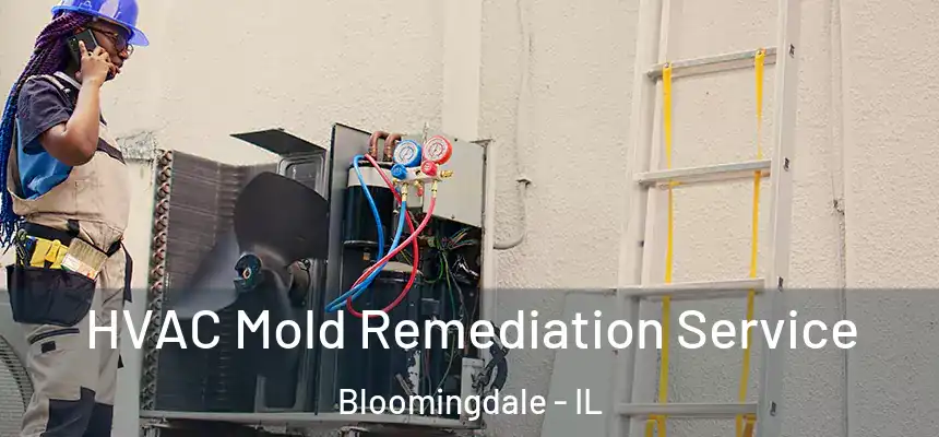 HVAC Mold Remediation Service Bloomingdale - IL