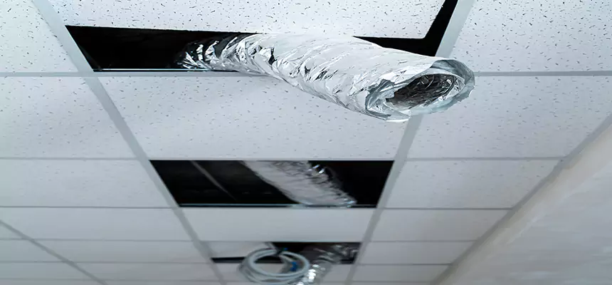 Our Air Duct Pet Hair Removal Services in Bloomingdale, IL