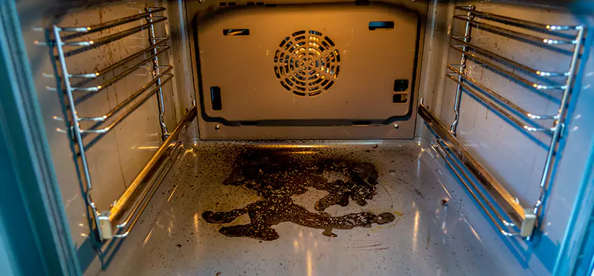 Our Dryer Vent Mold Cleaning Services in Bloomingdale, IL