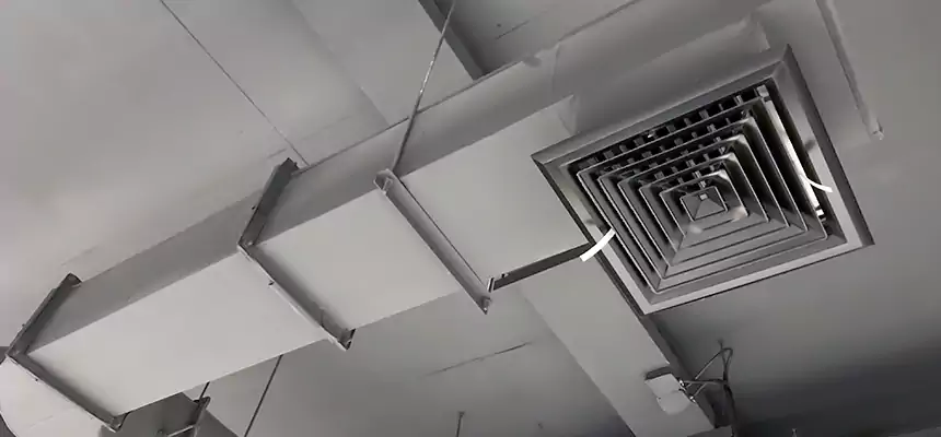 Our Pest Removal From Ducts Services in Bloomingdale, IL