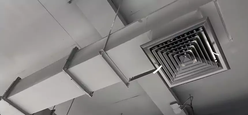 Our Rodent Droppings In Vents Services in Bloomingdale, IL