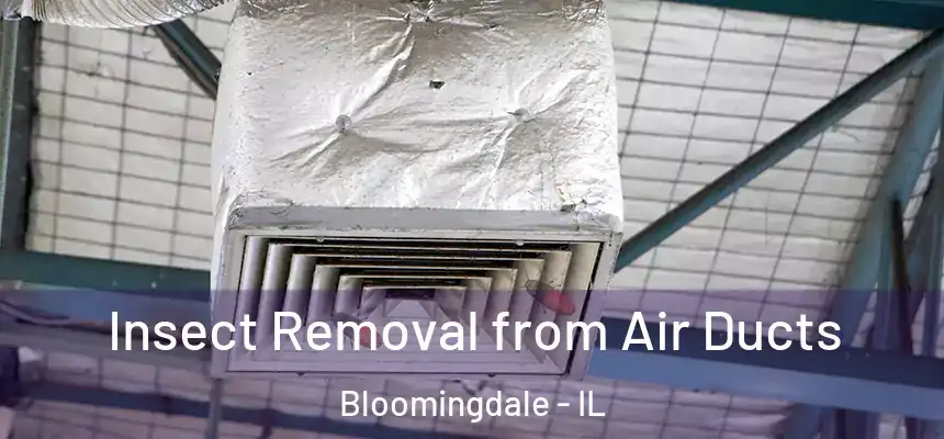 Insect Removal from Air Ducts Bloomingdale - IL