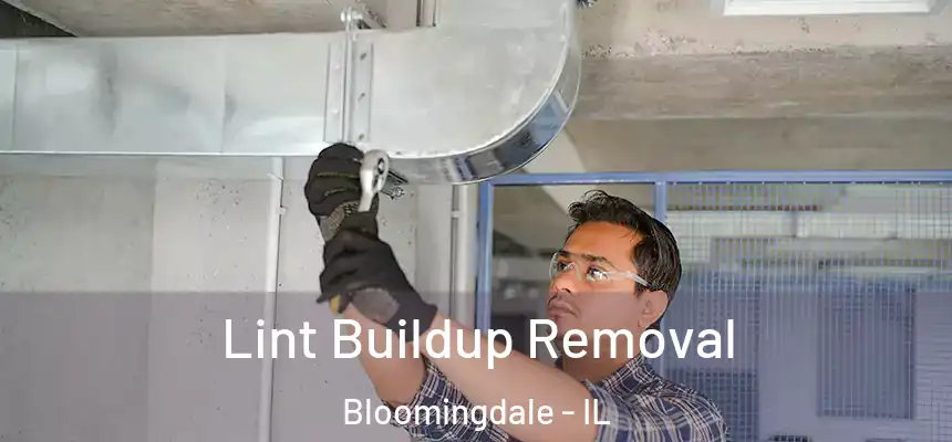  Lint Buildup Removal Bloomingdale - IL