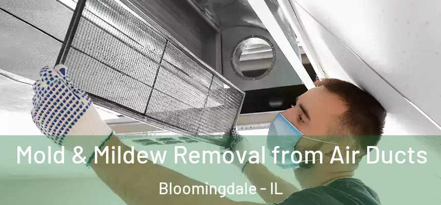  Mold & Mildew Removal from Air Ducts Bloomingdale - IL