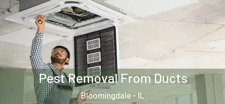 Pest Removal From Ducts Bloomingdale - IL