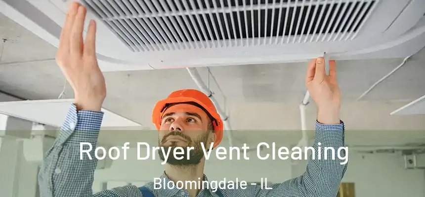 Roof Dryer Vent Cleaning Bloomingdale - IL