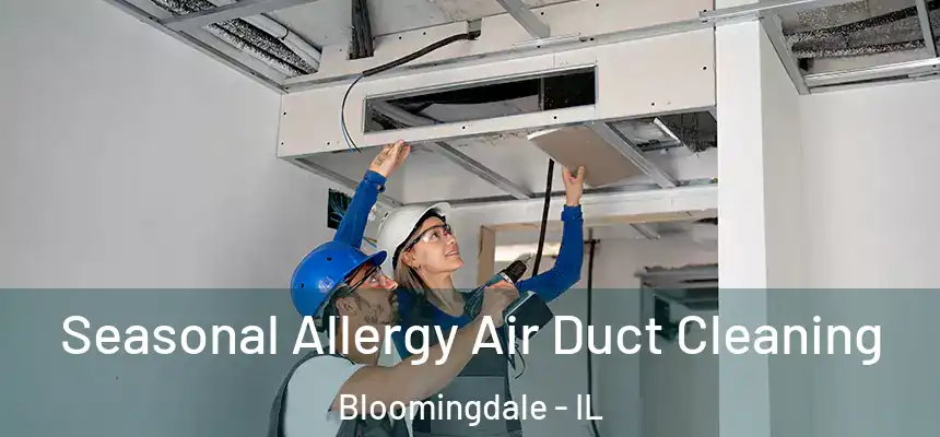 Seasonal Allergy Air Duct Cleaning Bloomingdale - IL