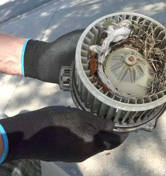 About Air Duct Mice Removal in Bloomingdale, IL