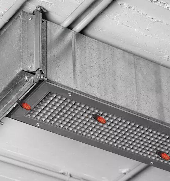 Affordable Insect Removal from Air Ducts in Bloomingdale, IL