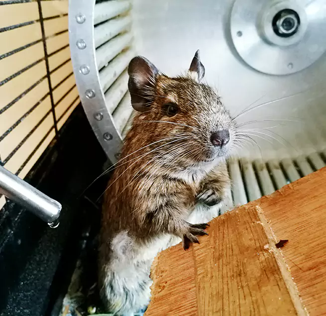 Why Homeowners & Businesses Trust Us Bloomingdale, IL