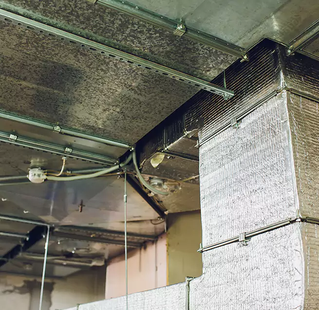 Why Homeowners & Businesses Trust Us in Bloomingdale, IL?